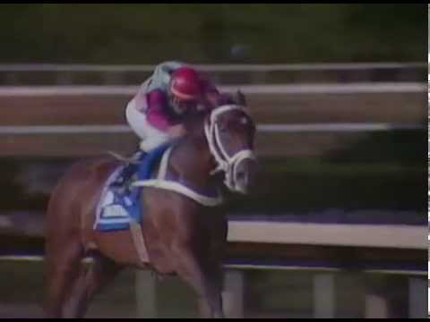 Copa Confraternidad 2007- Gran Estefanía (VEN)