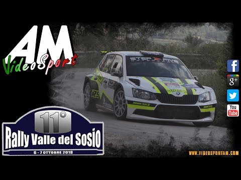 Bruccoleri   Rapisarda PSG 11° Rally Valle del Sosio HD