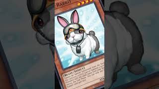 Yu-Gi-Oh! TCG | History of the Card | Rescue Rabbit
