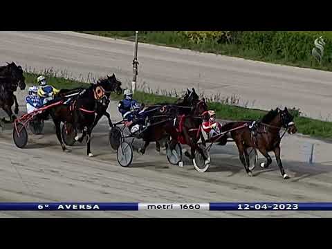 Aversa trotto 12 Aprile 2023 - 6° Corsa