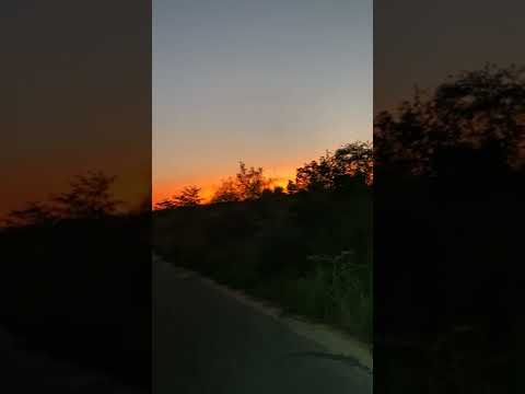 VIRTUAL SUNSET GAME DRIVE IN KRUGER - PART 4 #safari #africa #wildlife #southafrica #kruger