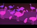 Bubble Guppies Flightless Birds