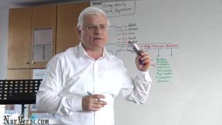 Dimağ-14 (Bilgi Malumat Düşünce Vehim Şüphe Zan) - YOZGATNUR