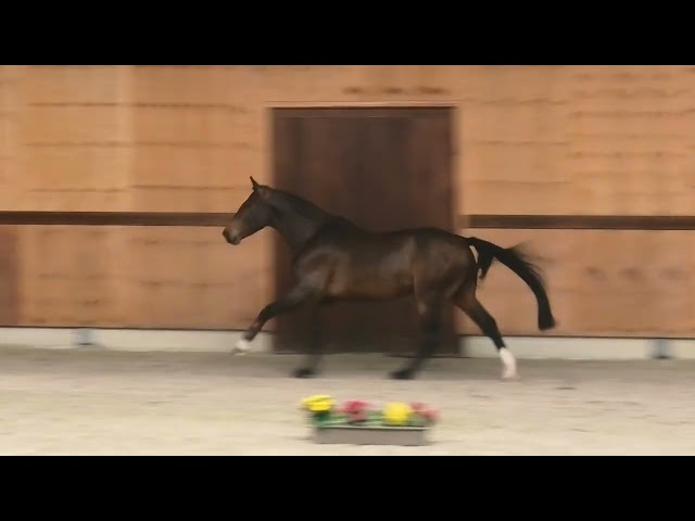 Gaits