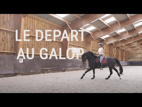 RIDING TUTORIAL #4 🐴 - The canter departure