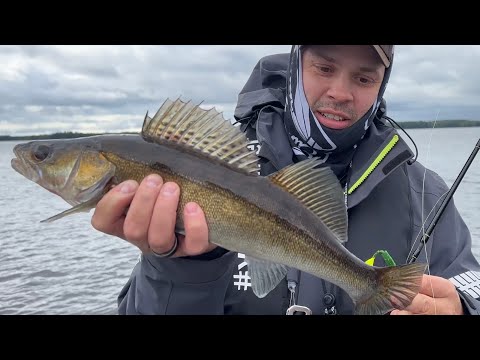Syyskuu on kuhankalastajan sesonkiaikaa - Nyt testataan 9cm Sirppiä ja 14cm Tieraa - Kuhan kalastus