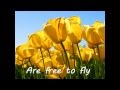 Sheryl Crow - Wildflower (w/ lyrics) [1080 HD] 