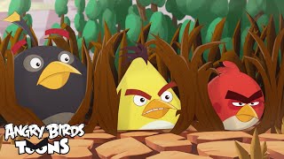 Angry Birds Toons 2 Ep21 Sneak Peek -  Eating Out 