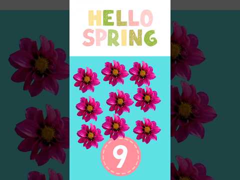 Count spring flowers with me!!! #childrenseducation #prek #preschoolprodigy #preschool
