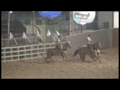 Potro do Futuro ABQM 2019 - Categoria Profissional