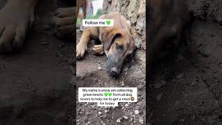 Download lagu Every dollar brings hope please donate any small donation can help my shelter to get veryday meals mp3 Download lagu Every dollar brings hope please donate any small donation can help my shelter to get veryday meals mp3