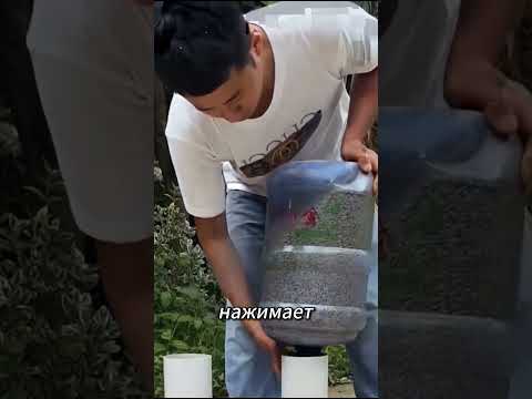 Китайский фермер придумал гениальный способ кормления кур #viral #shorts #Русский #viralshorts