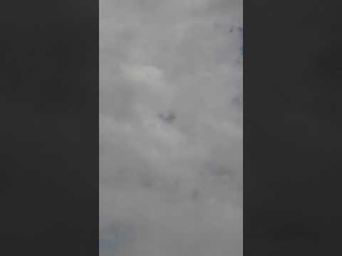 Narmin Karimbeyova🎼🎤  -Qara gözler