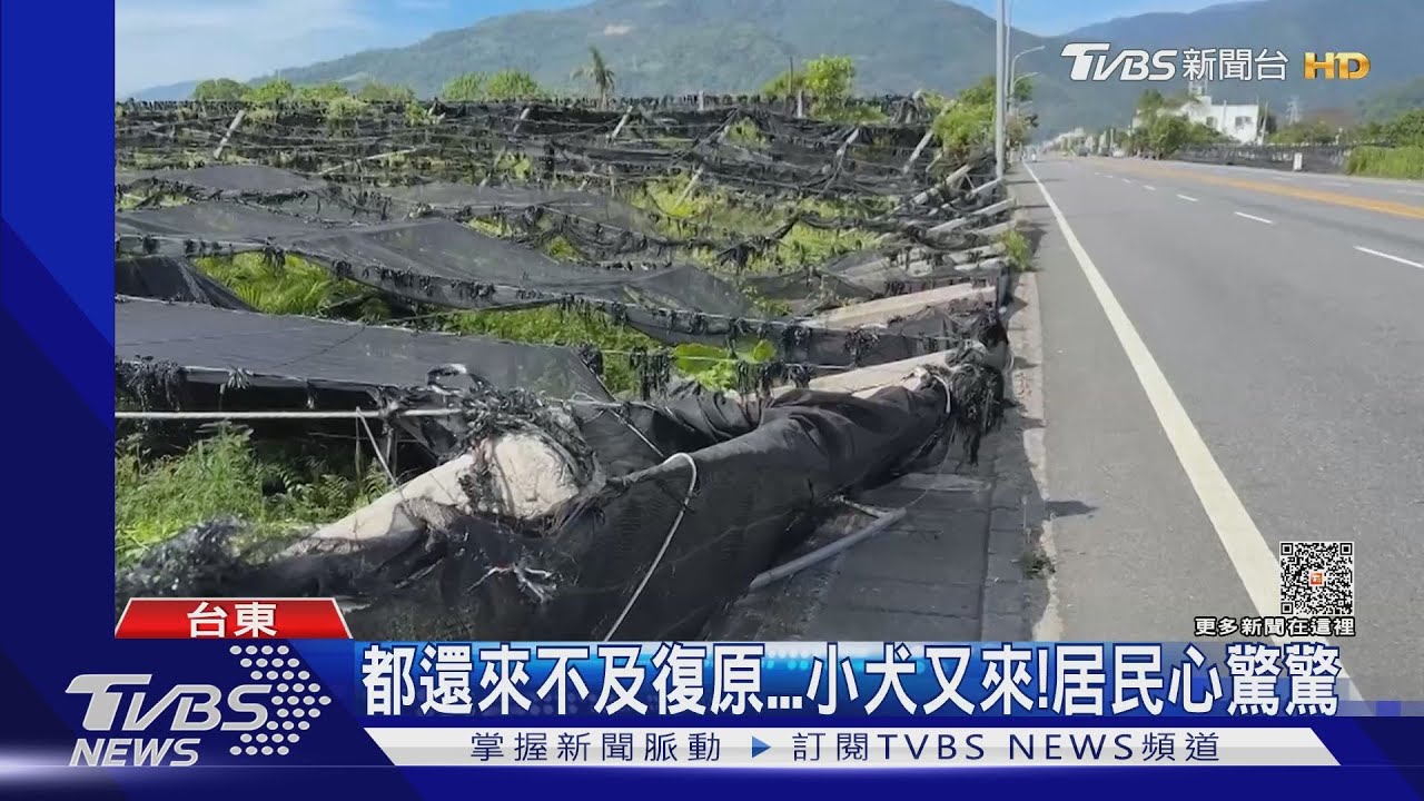 都還來不及復原 小犬又來!居民心驚驚