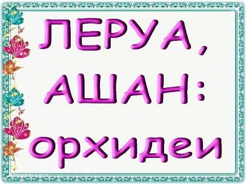 ОРХИДЕИ:завоз в ЛЕРУА;АШАН,01.05.20,ТЦ"Космопорт",Самара.