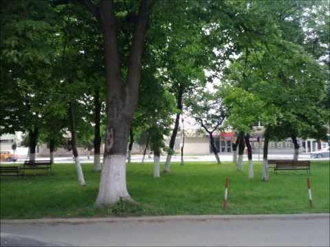 INEU DE ARAD,ROMANIA