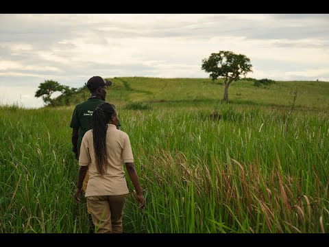 Kyambura Fig Tree Nature Trail