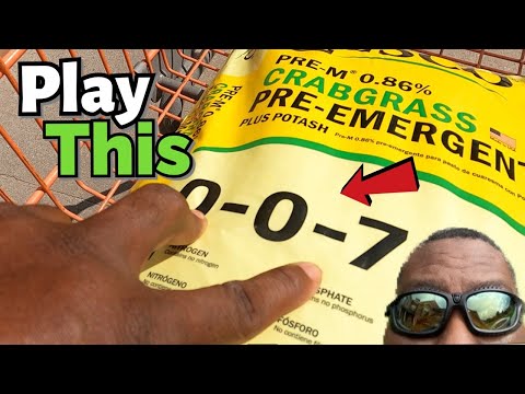 Best Best Crabgrass Pre Emergent numbers to play on your lawn 007 // Weed Preventer
