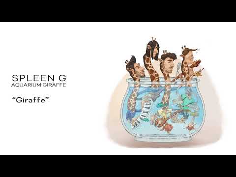 Spleen G - Giraffe