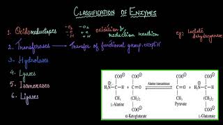 Classification of enzymes | Biomolecules | Biology | Khan Academy