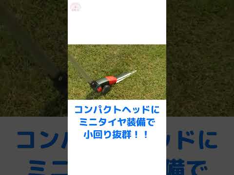 冬でも緑の芝生を保つにはどうすればいいですか？メンテナンスアドバイス+チュートリアル  庭園