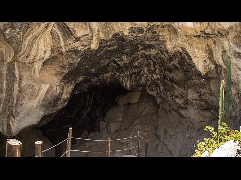 image-¿Cómo llegar a las grutas de xoxafi autobús?