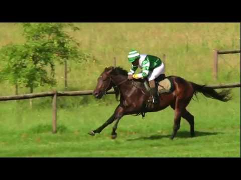 LOT 15 - DANILO GALLINARI (St Petersburg - Harems Secret)