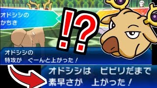 オドシシ ポケットモンスター ギモー マシェード サワムラー