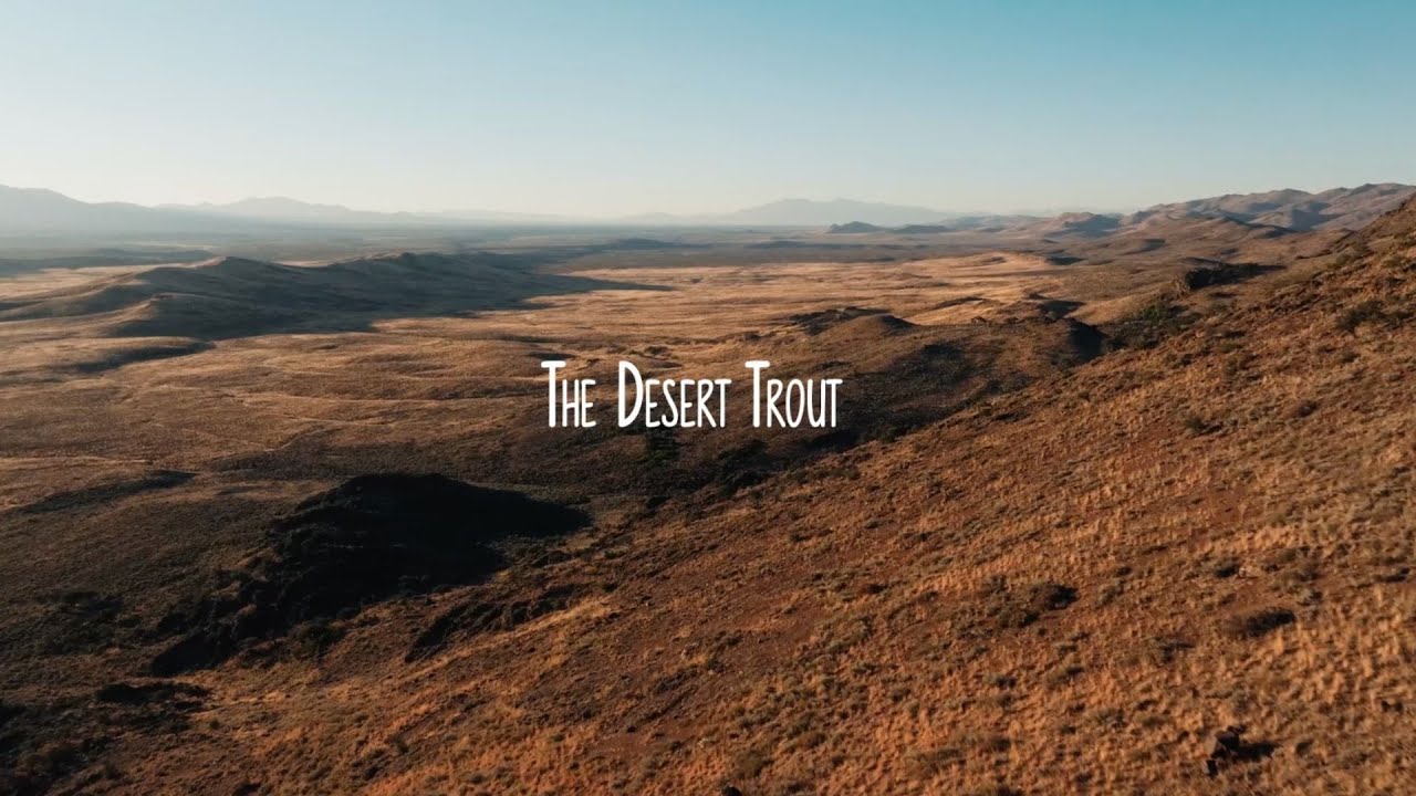 WATCH: The Desert Trout