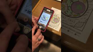 Quiver: Animal Cell Augmented Reality Coloring Page