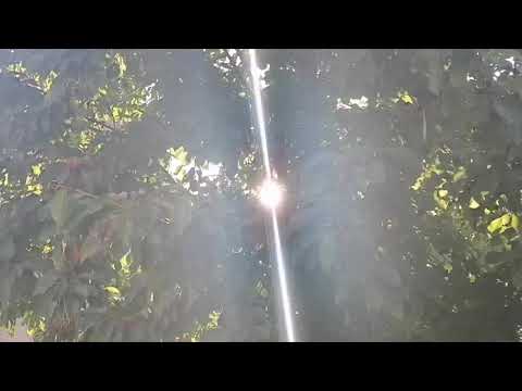 Sonce - Pijan Slavej