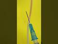 Blowing Veins Part 2 Funfacts Goodtoknow Vet Medicine Educational Blood Phlebotomy