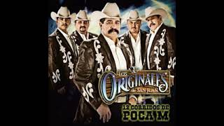 los Originales de San Juan Party En Jalisco