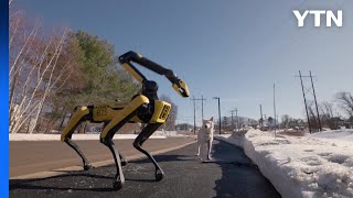 [기업] 현대차그룹 4족 로봇 '스팟', 집안 정리에 강아지 산책까지 / YTN