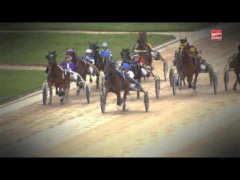 Highlight der Woche: Europaderby der Vierjährigen im GelsenTrabPark (23.09.2012)