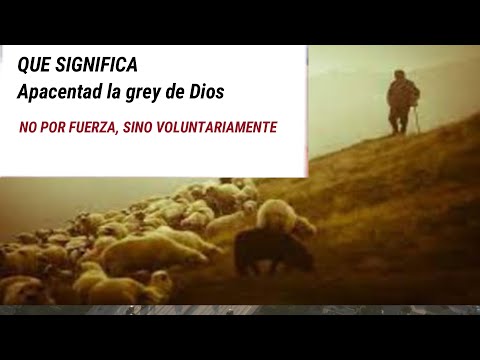 APACENTAD LA GREY DE DIOS, NO POR FUERZA, SINO VOLUNTARIAMENTE