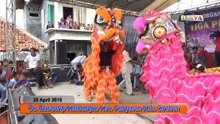 Download lagu Demenan Online ( Barongsai ) | Burok TPJ Live Kalibangka mp3 Download lagu Demenan Online ( Barongsai ) | Burok TPJ Live Kalibangka mp3