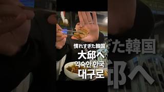 久しぶりに韓国戻ってきたけど、もう特に新鮮さはなくて|大邱VLOG