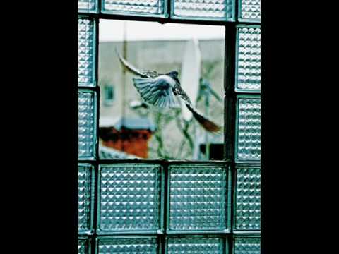 The Rapsody feat.Warren G & Sissel - Prince Igor (Ries Class Jazz Extended).wmv