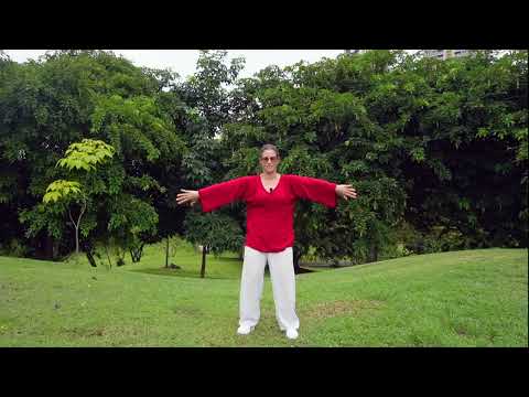 Heart centered Qigong - 5 Minutes a Day