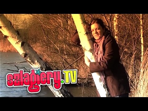 Golden Mix - Słoneczne marzenia