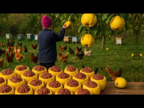 Lamb Dolma in Quince 🍖 Azerbaijan Traditional Secret Village Recipe