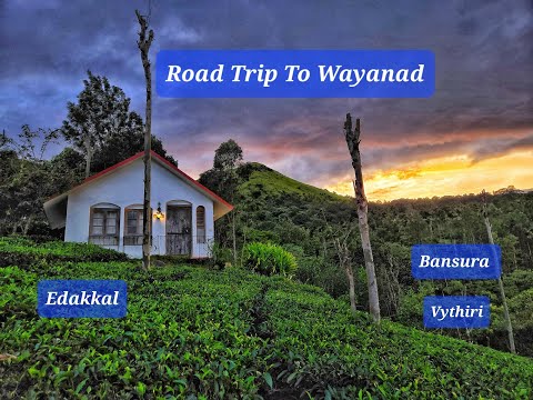 WHAT TO DO IN WAYANAD | VYTHIRI | TEA TERRACE | BANSURA DAM | EDAKKAL CAVE | WEEKEND TRIPS BANGALORE
