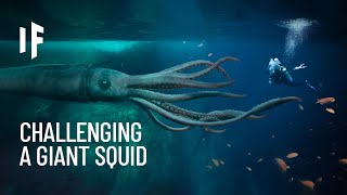 What If You Were Attacked by a Giant Squid