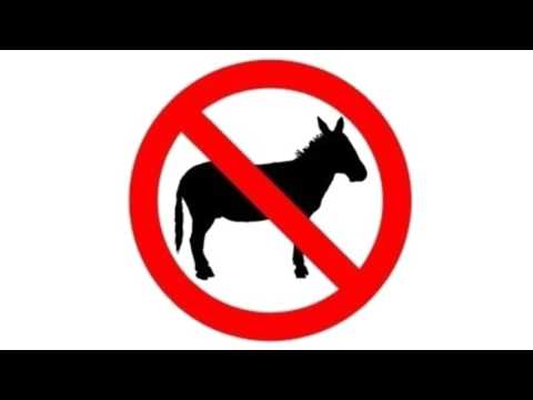 11 Tech Support   BT   Ratesh