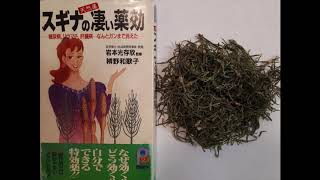 🌈🌈驚異的な成分！スギナ　奇跡の雑草で3つのガンを克服した母　美容にいいケイ素もミネラル、カルシウムもたっぷり！絶対試す価値ありです。