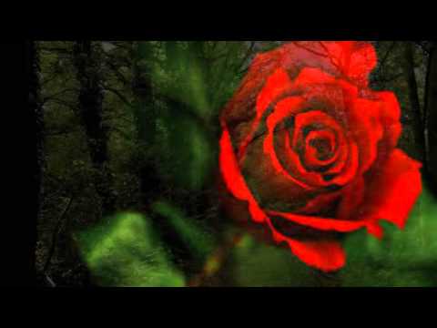 Ella se llama Bella (Letra - HD)