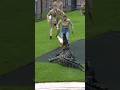 Crocodile Charges at Terri and Robert Irwin #crocodile #animals #zoo #wildlife #australia