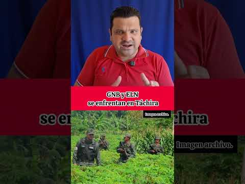 GNB y ELN se enfrentan en Táchira