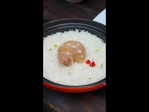 你们知道怎样分辨福寿螺和田螺吗？